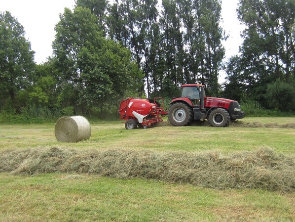 Un tractor con una enfardadora de heno en un campo con fardos de heno y árboles al fondo.