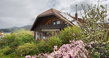Apartment 'Zum Alt Engelwirt' with Mountain View, Balcony and Wi-Fi