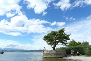 A stone structure with a tree, a sandy beach, and a body of water.