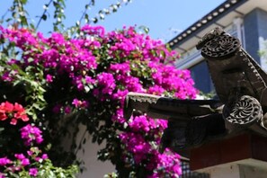 A building with a decorative metal structure, possibly a part of a facade or an architectural feature. - Erhaike Inn (Dali City)