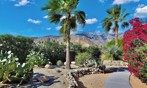 A desert landscape with cacti, a palm tree, and a red flowering bush. - Mid Century Saltwater Mountain Oasis, City ID Number: 042182 (Palm Springs)