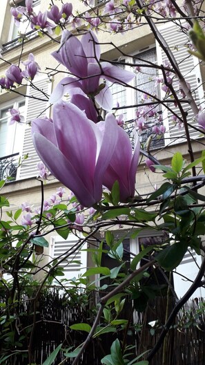 Dettaglio esterni