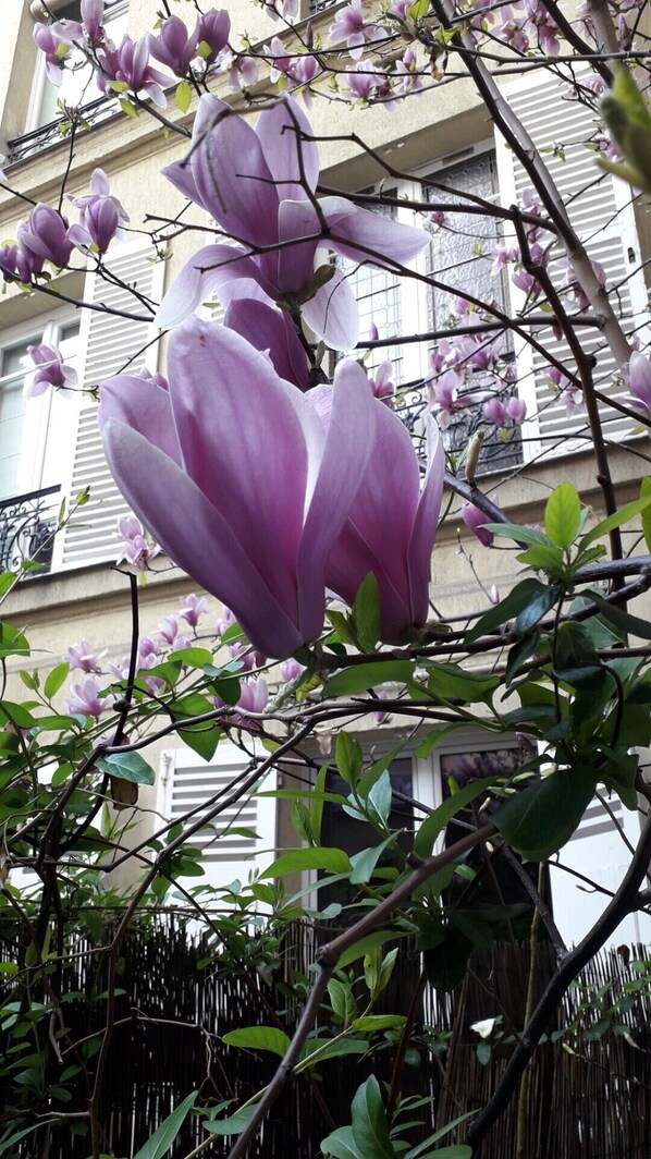 Détail de l’extérieur