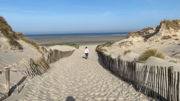 A sandy pathway leading to a beach with dunes and a clear sky.