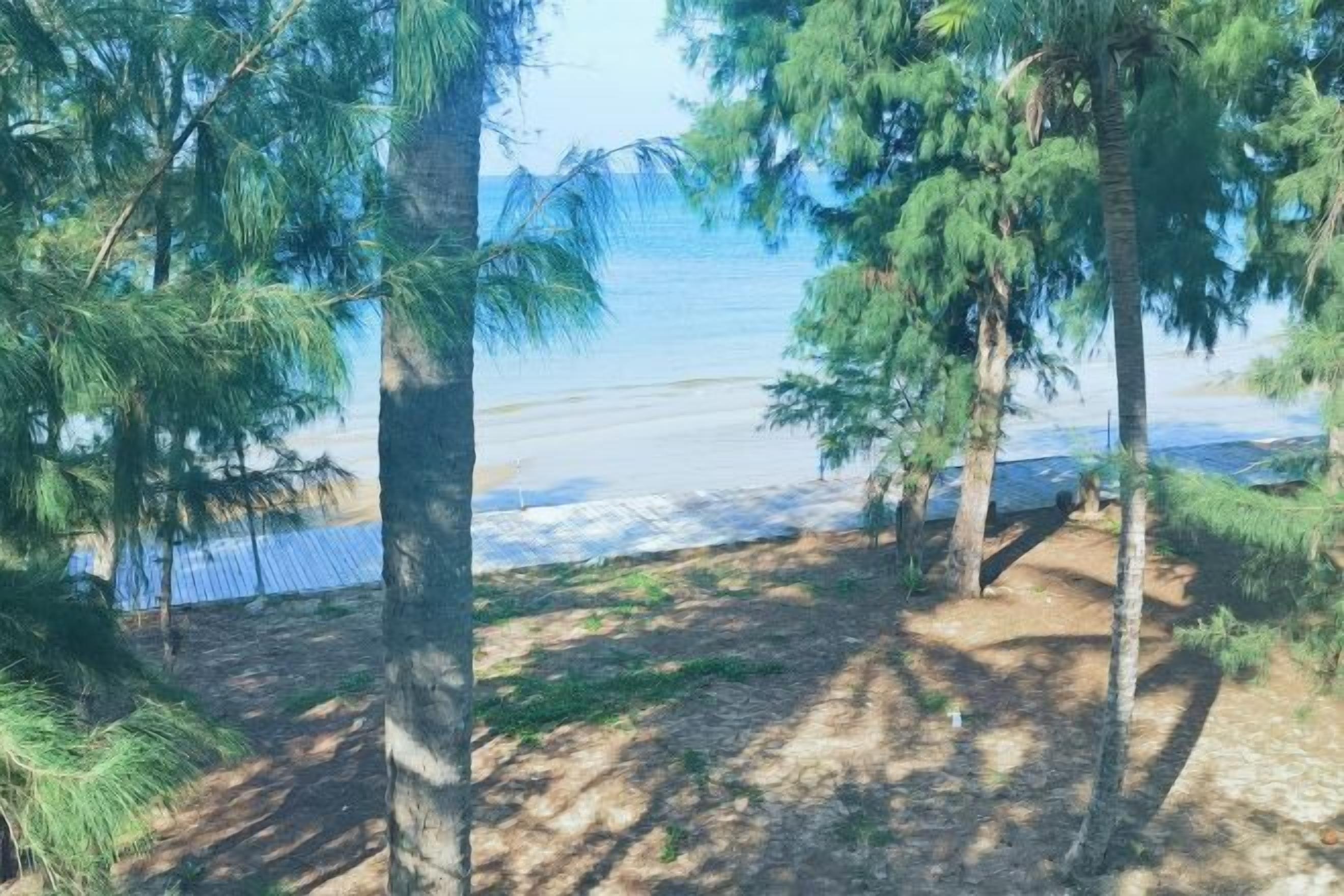 A beach view with trees and a clear sky.