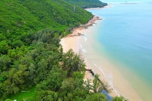 Un paysage côtier avec une plage, une végétation luxuriante et une vue dégagée sur l’océan.