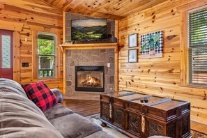 TV, fireplace