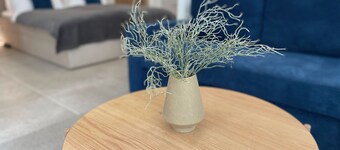 Unique city center studio with carport