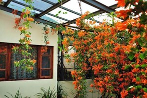 Garden - Bingdao Huayue Inn (Dali)