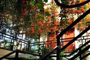 Property grounds - Bingdao Huayue Inn (Dali City)