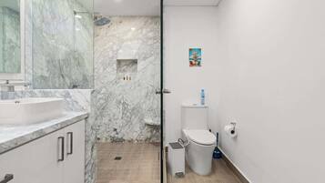 Un bagno con un lavandino in marmo, una cabina doccia in vetro e un water.