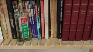 Eine Toilette mit Toilettenpapier, einer Toilettenbürste und einem Regal mit Büchern darüber.