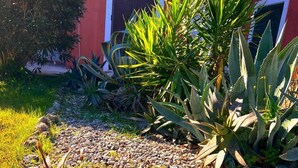 A garden with various plants and a gravel path. - SV Apartment with sea view (Corfu)
