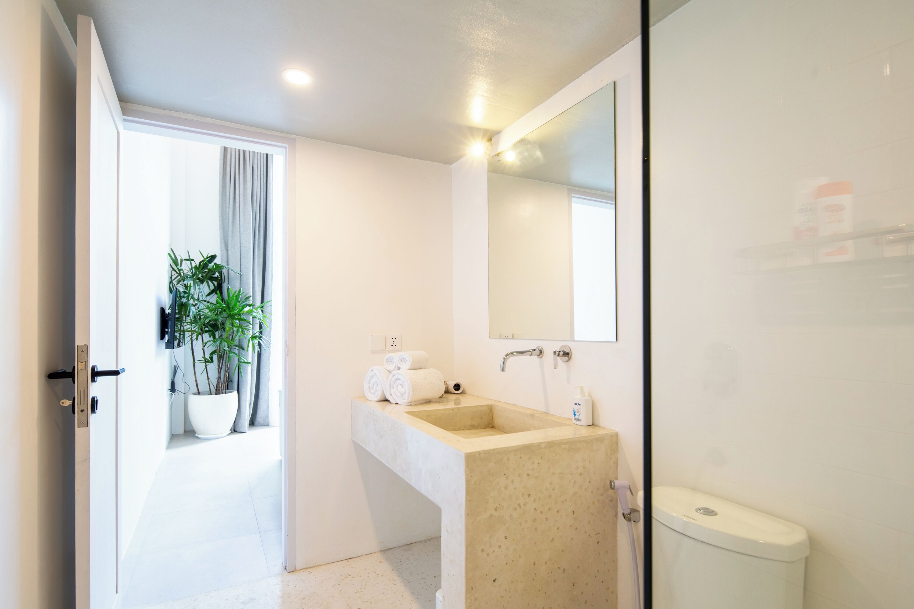A modern bathroom with a large sink, a toilet, and a mirror. There is a potted plant and towels on the sink counter.
