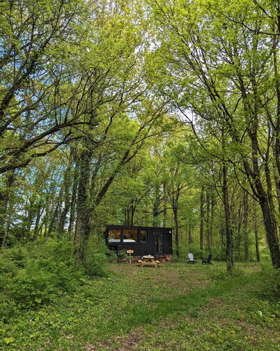 Tiny House La Clairière Au Cœur de la Forêt !