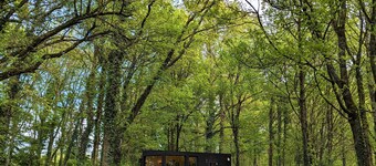 Tiny House La Clairière Au Cœur de la Forêt !