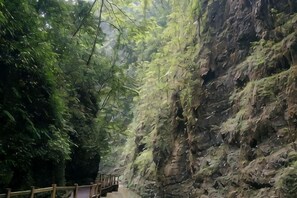 A narrow pathway flanked by dense green foliage and rocky cliffs. - Janger Hotel (Chongqing Nanchuan branch) (Chongqing)