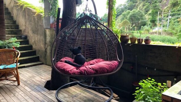 A hanging chair with a cushion on a wooden deck, surrounded by potted plants and a staircase. - Yandangshan Longqiu Hostel (Yueqing)