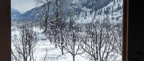 A snowy landscape with bare trees and mountains in the background.