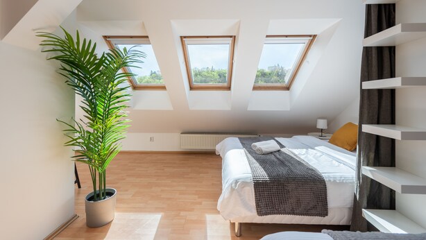 A modern bedroom with a skylight, a large potted plant, and a neatly made bed. - Modern apartment on Graficka (Prague)