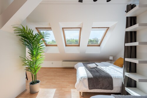 Modern apartment on Graficka