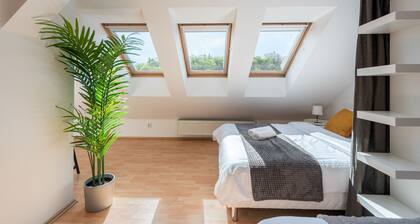 Modern apartment on Graficka