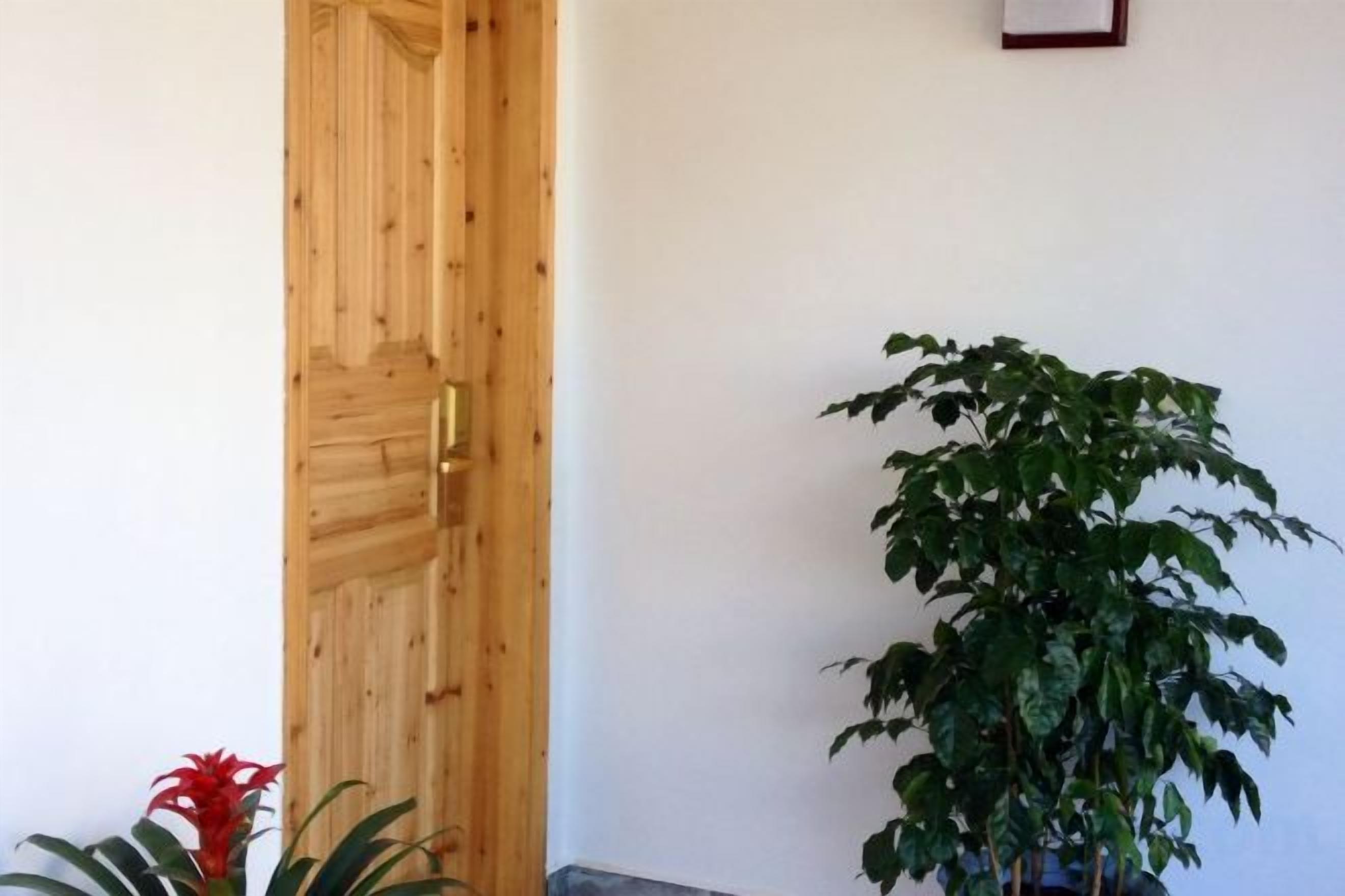 A wooden door, a potted plant, and a wall-mounted picture frame.