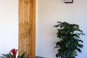 Une porte en bois, un pot de fleurs et un cadre photo fixé au mur.