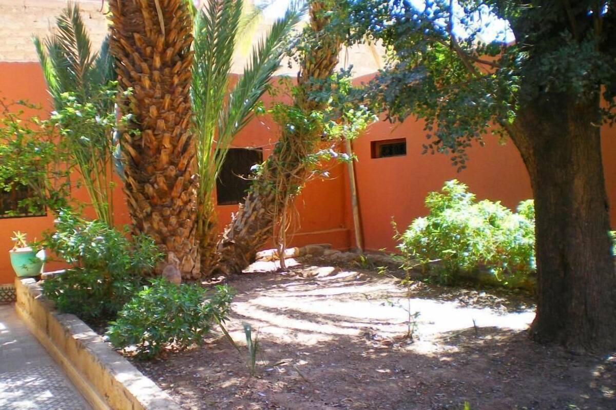 A courtyard with palm trees, a small garden, and a building with orange walls.