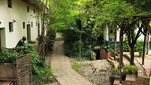 A narrow pathway flanked by greenery and stone tiles, leading to a building with a statue and a rustic fence. - Ratiu House (Turda)