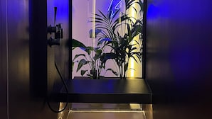 Un box de ducha moderno con puerta de cristal, un mando de agua visible y una planta en el interior.