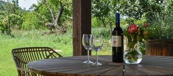 Family and pet friendly village house with vineyards.