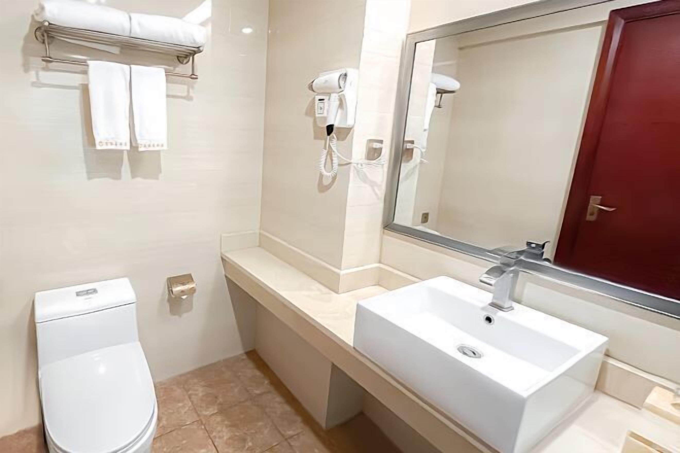 Een badkamer met een wit toilet, een wastafel met een spiegel erboven en een haardroger bevestigd aan de muur.