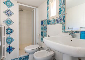 Shower, hair dryer, bidet, towels