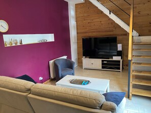 Smart TV, fireplace, books, computer monitors