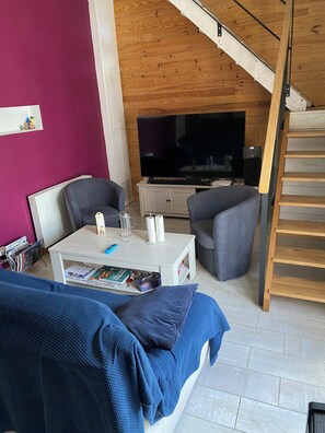 TV connectée, cheminée, livres, écrans d'ordinateur