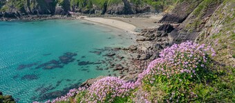 1 Grove Stables, Holiday Cottage St Davids, Sleeps 8, 4 bedrooms, bathrooms