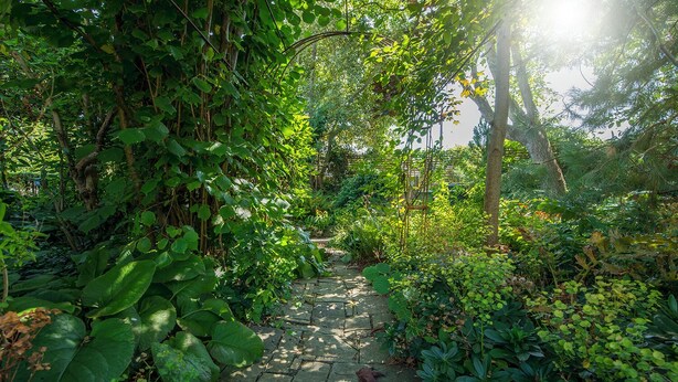 A stone pathway surrounded by lush greenery and trees. - 1 Penally Boathouse Mews, Holiday Cottage St Dogmaels, Sleeps 4, 2 bedrooms,  bathrooms (Cardigan)