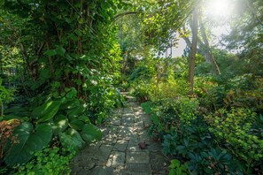 Ein gepflasterter Weg, umgeben von üppiger Vegetation und Bäumen.
