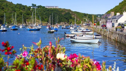 Bryn y Brenin, Holiday Cottage Trefin, Sleeps 4, 2 bedrooms,  bathrooms