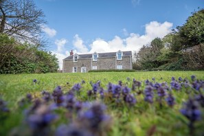 A stone building with a symmetrical facade, a lawn with purple flowers in the foreground, and a clear blue sky with clouds.