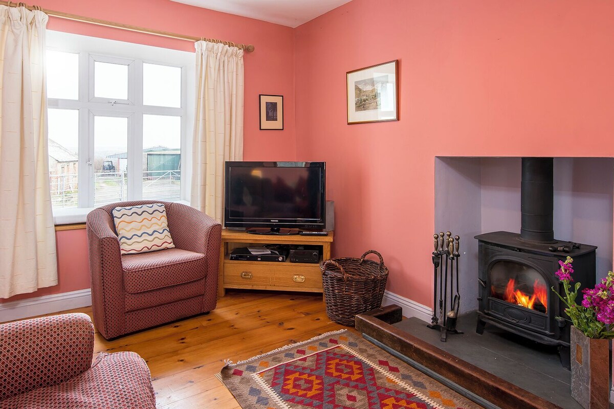 Imagen de perfil del propietario o de la propietaria