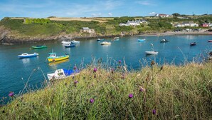 A coastal scene with boats on the water, a grassy foreground with wildflowers, and houses in the background. - Doves Cottage, Holiday Cottage Abercastle, Sleeps 2, 1 bedrooms,  bathrooms (Haverfordwest)