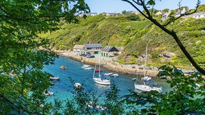 Marina - Fairholme, Holiday Cottage Solva, Sleeps 4, 2 bedrooms,  bathrooms (Haverfordwest)