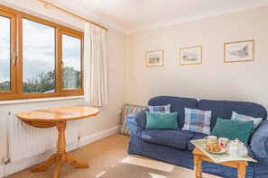 电视、DVD 播放器