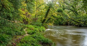 Une rivière qui traverse une zone densément boisée et où se trouve un pont en bois.