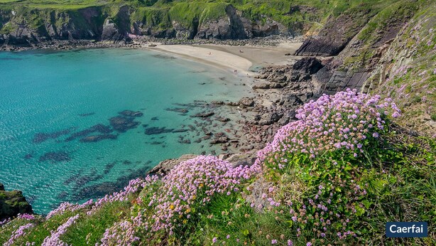A coastal landscape with a sandy beach, clear turquoise waters, and rocky cliffs. - Greystones House, Holiday Home St Davids, Sleeps 6, 3 bedrooms,  bathrooms (Haverfordwest)