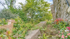 A garden with a stone wall, a tree, and various plants. - Honey Hook Cottage, Holiday Cottage Nolton, Sleeps 5, 2 bedrooms,  bathrooms (Haverfordwest)