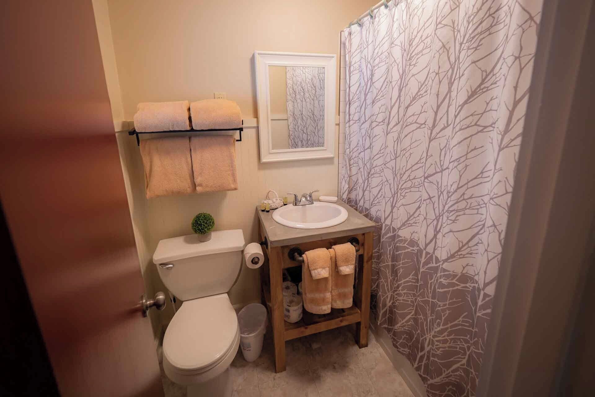 Ein kleines Badezimmer mit Toilette, Waschbecken und Duschvorhang.