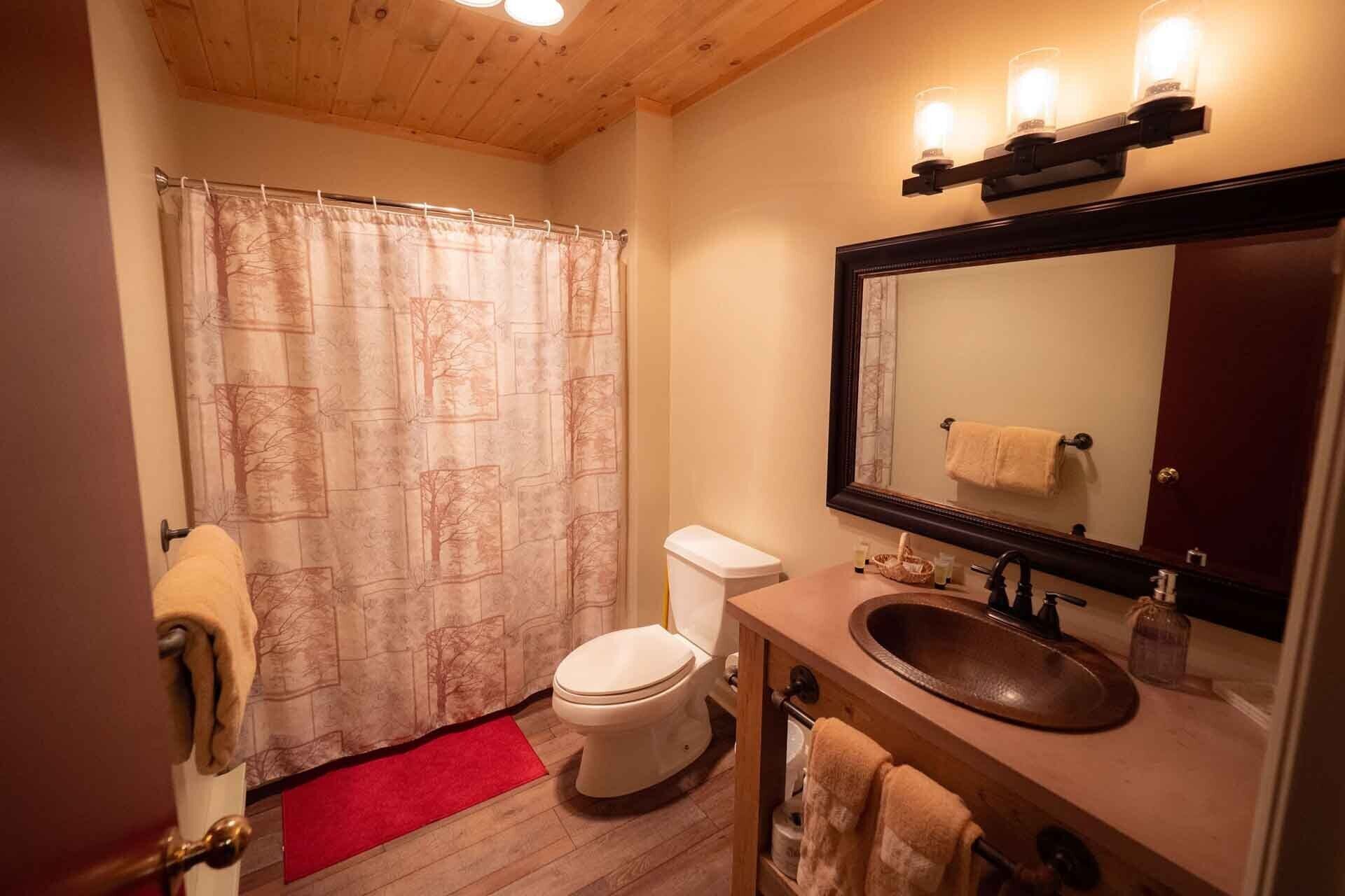 Deluxe Studio Suite | Bathroom | Combined shower/tub, rainfall showerhead, free toiletries, hair dryer